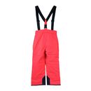 The North Face Youth Snowquest Suspender Plus Pants